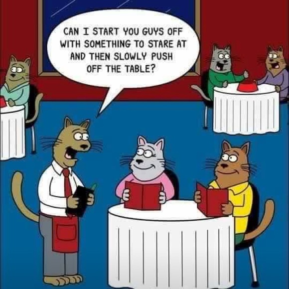 🌸WELCOME🌸 - Picture 12 of 16